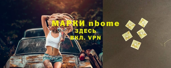дживик Бородино