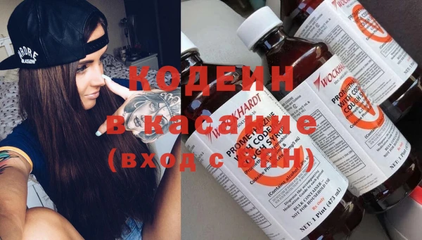 дживик Бородино