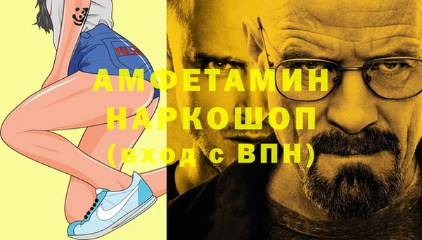 дживик Бородино