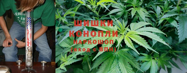 дживик Бородино