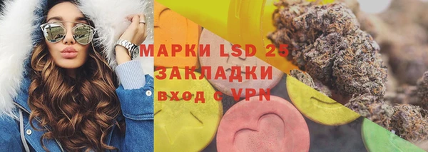дживик Бородино