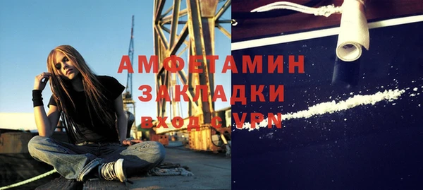 дживик Бородино