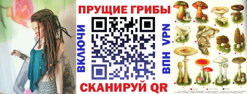 Галлюциногенные грибы прущие грибы купить наркотик Новодвинск
